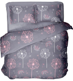 Комплект постельного белья 1,5-спальный (п.215х153, пр.220х145, н.70х70-2шт.), арт.41241/0, (579701/570903 К 4810122617910)