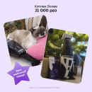 Портативный пылесос Kitfort KT-557 (KT-557) 