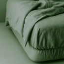 Комплект постельного белья 2-спальный (п.215х175, пр.200х160х25, н.50х70-2шт.), арт.4843, (13-0608 4810122672094)