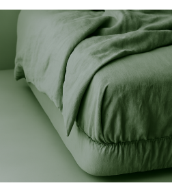 Комплект постельного белья 2-спальный (п.215х175, пр.200х160х25, н.50х70-2шт.), арт.4843, (13-0608 4810122672094)