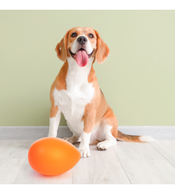 Игрушка для собак "Неуловимое яйцо" ALTA М9014