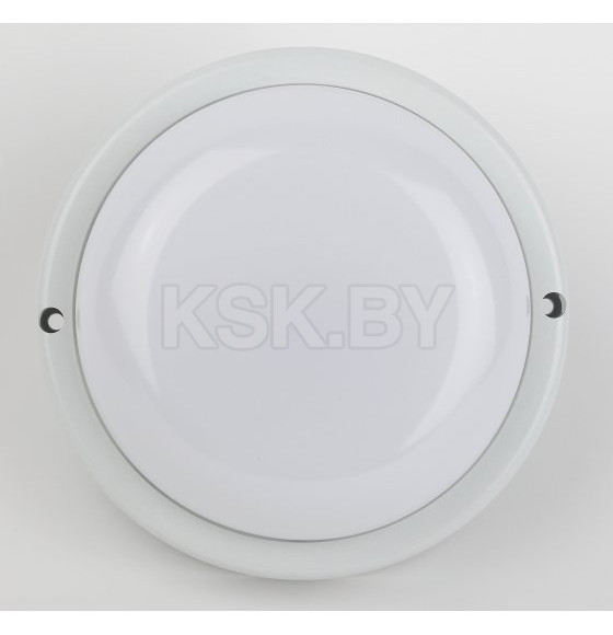 Светильник светодиодный круг 15Вт 4000К 1425Лм ЖКХ IP65 ЭРА (SPB-201-0-40K-015) 