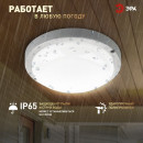 Светильник светодиодный круг 15Вт 4000К 1425Лм ЖКХ IP65 ЭРА (SPB-201-0-40K-015) 