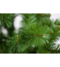 Елка искусственная  Роксана 150см