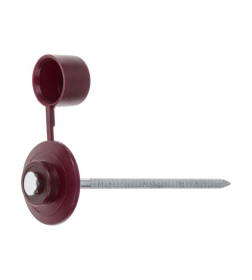 Гвоздь кровельный 2.8х70 мм с пласт. шляпкой, бордо (100 шт в пласт. конт.) STARFIX