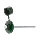 Гвоздь кровельный 2.8х70 мм с пласт. шляпкой, зеленый (100 шт в пласт. конт.) STARFIX (SMP5-74396-100) 