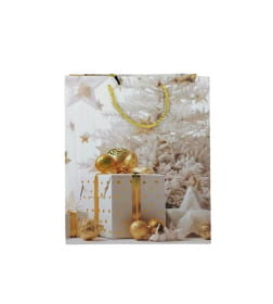 Пакет подарочный GB25-0016 18х8х23см микс