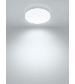 Светильник LED потолочный ДПБ 01, 24 Вт, 6000 К, Классика, TDM