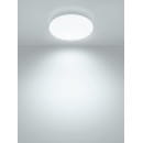 Светильник LED потолочный ДПБ 03, 24 Вт, 6000 К, Геометрия, TDM (SQ0329-9018) 