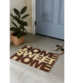 Коврик с жесткой щетиной "Dekorelle" LAPSHA 40х60 см арт. 016 