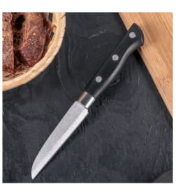 Нож для овощей Доляна «Кронос», лезвие 9 см, цвет чёрный