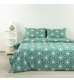 Комплект постельного белья 1,5-спальный (п.215х153, пр.220х145, н.50х70-2шт.), арт.41242/0, (632204/594708 К 4810122622693)