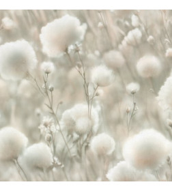 Обои Palitra Cottonia PL72543-72