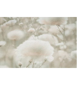 Обои Palitra Cottonia PL72543-72