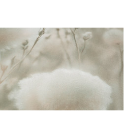 Обои Palitra Cottonia PL72543-72