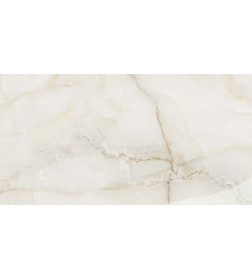 Керамогранит ALESSANDRO CERAMIC Evo onyx 1200х600 мм, сорт 1