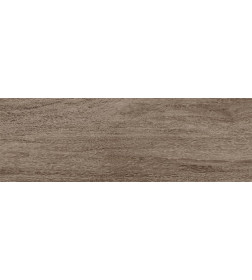 Керамогранит Baikal brown PG 02  200х600x8 мм