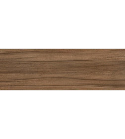 Керамогранит Kavkaz brown PG 02  200х600x8 мм