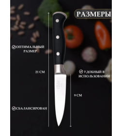 Нож для очистки овощей (21х2.7х1.5cm) T2.5mm ЦУМ осн.1947 SLKN-78P0501-5