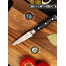 Нож для очистки овощей (21х2.7х1.5cm) T2.5mm ЦУМ осн.1947 SLKN-78P0501-5 (SLKN-78P0501-5) 