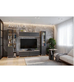 Шкаф МЦН Aurelio 1 (Антрацит/Блеквуд Сатиновый) Глазовская мебельная фабрика 00201371_238