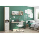 Пенал Алиса Мод.13 (Гикори Джексон) Алисия АЯ.15.04.13 (АЯ.15.04.13) 