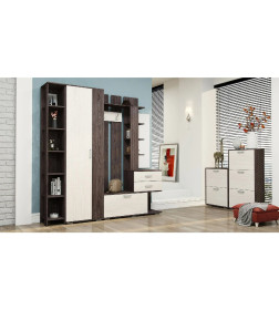 Шкаф (анкор темный/анкор белый) Астрид-мебель ЦРК.БРЗ.02