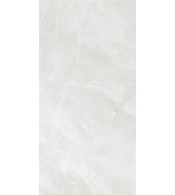 Керамогранит BRAND CERAMICS Essa Bianco 1200х600 мм серый матовый 