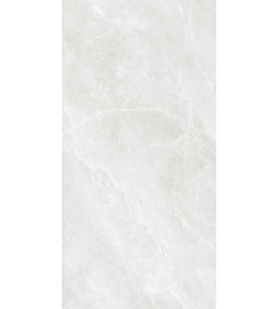 Керамогранит BRAND CERAMICS Essa Bianco 1200х600 мм серый матовый 