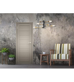 Дверное полотно Амати 00, 600х2000, Экошпон,Дымчатый дуб,глухое