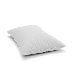 Подушка ЭОС Loft (40x60х20) твил-сатин