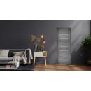 Дверь межкомнатная Амати 01,900х2000, Экошпон, Дуб шале графит,стекло матовое