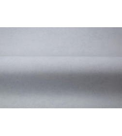 Обои Palitra Family Levia FM72540-46