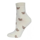 Носки женские 1408 Брестские ARCTIC (махровые), р. 25 рис.701  Ш.БЕЛЫЙ (15С1408) 