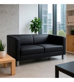 Диван Бета 2, экокожа Pegasso черный