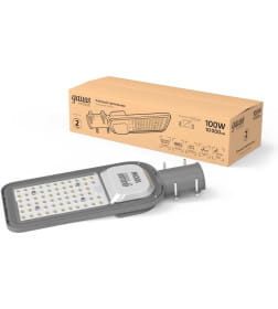 Уличный консольный светодиодный светильник Gauss Avenue 100W 10000lm 6500K IP65 КСС Ш