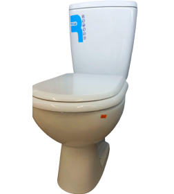 Унитаз напольный Rosa Нео (белый) Бачок Рим нижний подвод воды,косой выпуск,сидение полипропилен.,lifting,.эконом слив 3/6л.1 сорт