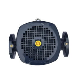 Насос циркуляционный MAXPUMP F 50-160/55