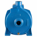 Насос поверхностный CP-158 JEMIX