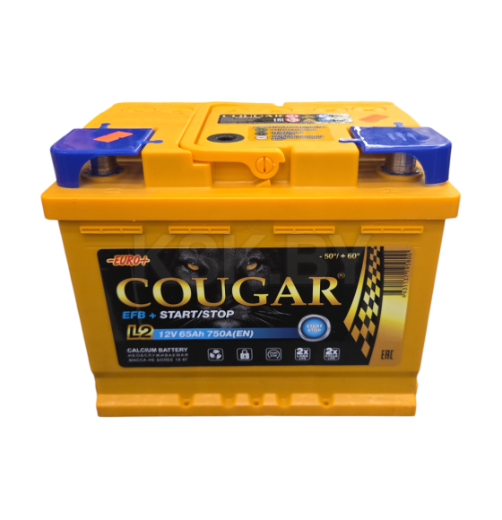 Аккумулятор COUGAR EFB 65 Ач о.п. R+
