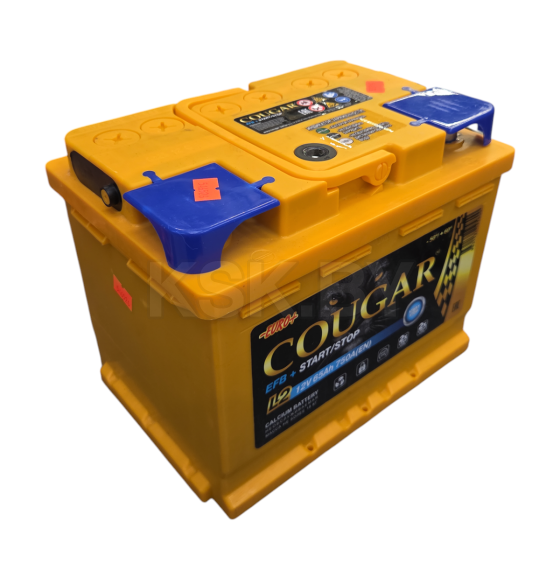 Аккумулятор COUGAR EFB 65 Ач о.п. R+