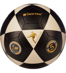 Мяч футбольный WINSTAR WN11001