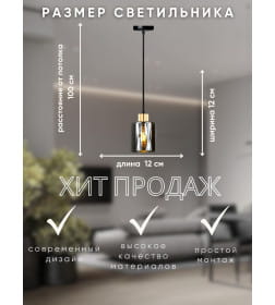 Светильник НСБ 01-60-101 S6986/1 черный/золото