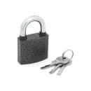 Замок навесной Palladium 303F-50