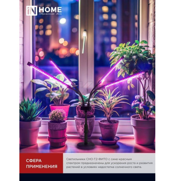 Светильник настольный на основании светодиодный СНО-Т2-ФИТО 4С40 красно-синий 40Вт 4 плафона, пульт на шнуре IN HOME (4690612053561) 