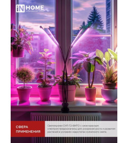 Светильник настольный на прищепке светодиодный СНП-Т2-ФИТО 4П40 красно-синий 40Вт 4 плафона, пульт на шнуре IN HOME