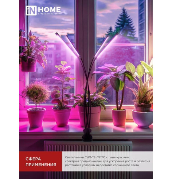 Светильник настольный на прищепке светодиодный СНП-Т2-ФИТО 4П40 красно-синий 40Вт 4 плафона, пульт на шнуре IN HOME (4690612053554) 