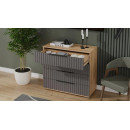 Комод (Дуб Крафт золотой/Графит матовый) Хилтон  (225514) 