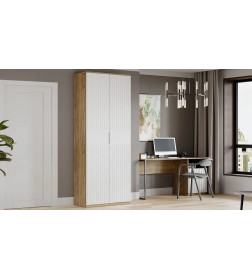 Шкаф комбинированный с 2 дверями Исп.2 (Дуб Крафт Золотой/Белый матовый) Хилтон