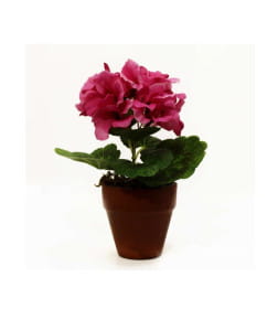 Пеларгония в горшке мини искуственная